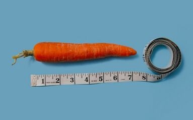 como bajar de peso con la dieta de los 6 petalos